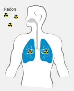 Le Radon et ses descendants radioactifs irradient vos poumons